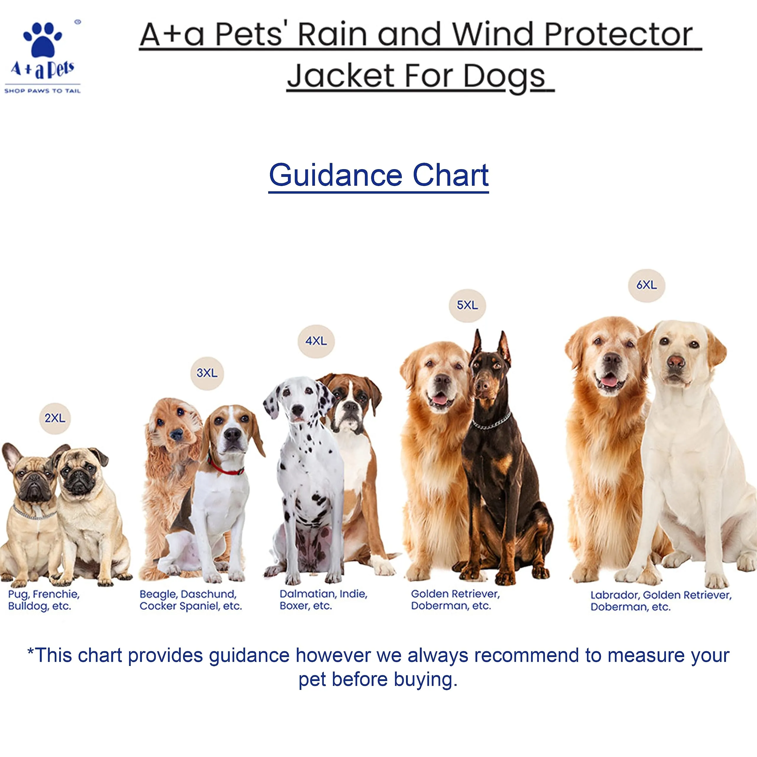 A a Pets' Luxurious Rain & Wind' Protector Jacket for Dogs - Blue