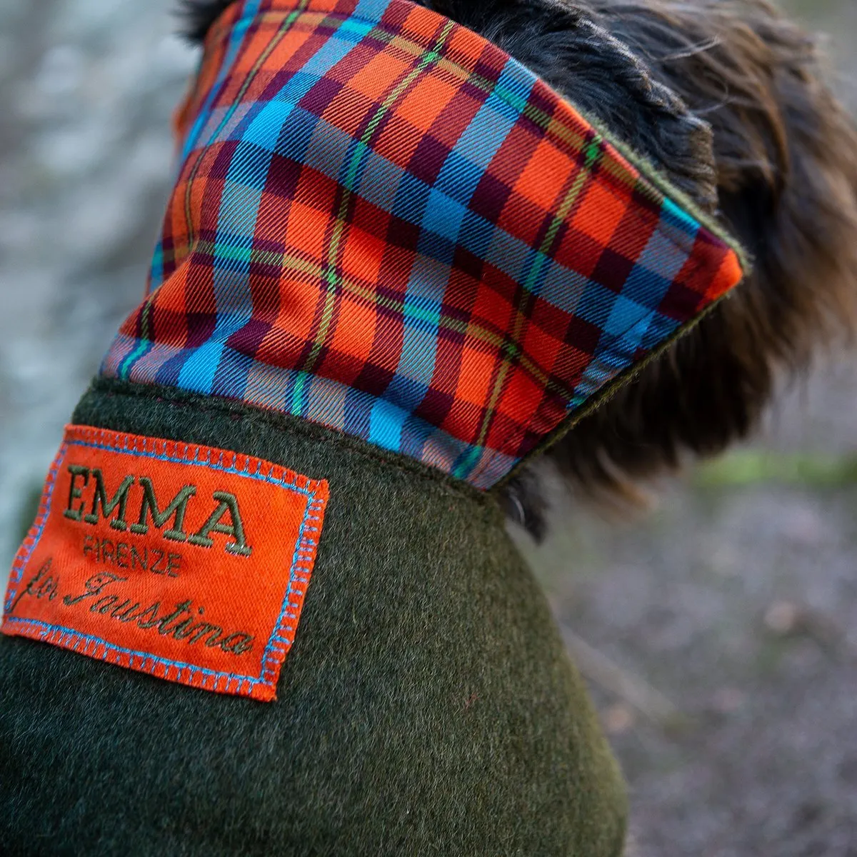 Bespoke Dog Coat/Raincoat Dandy Loden