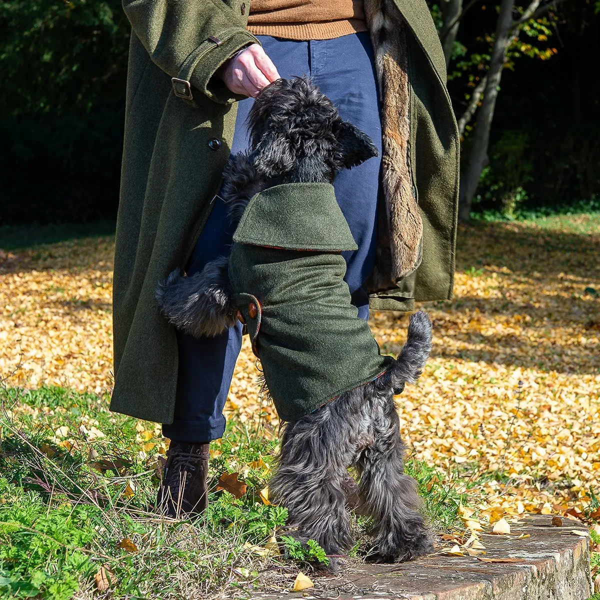 Bespoke Dog Coat/Raincoat Dandy Loden