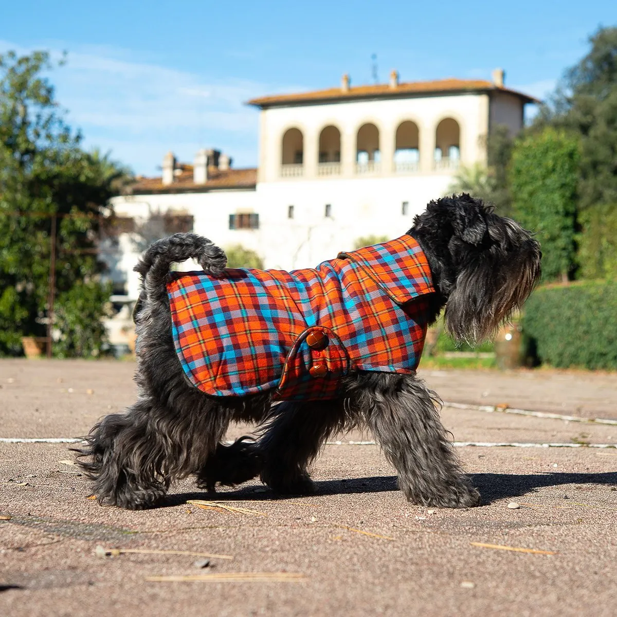 Bespoke Dog Coat/Raincoat Dandy Loden