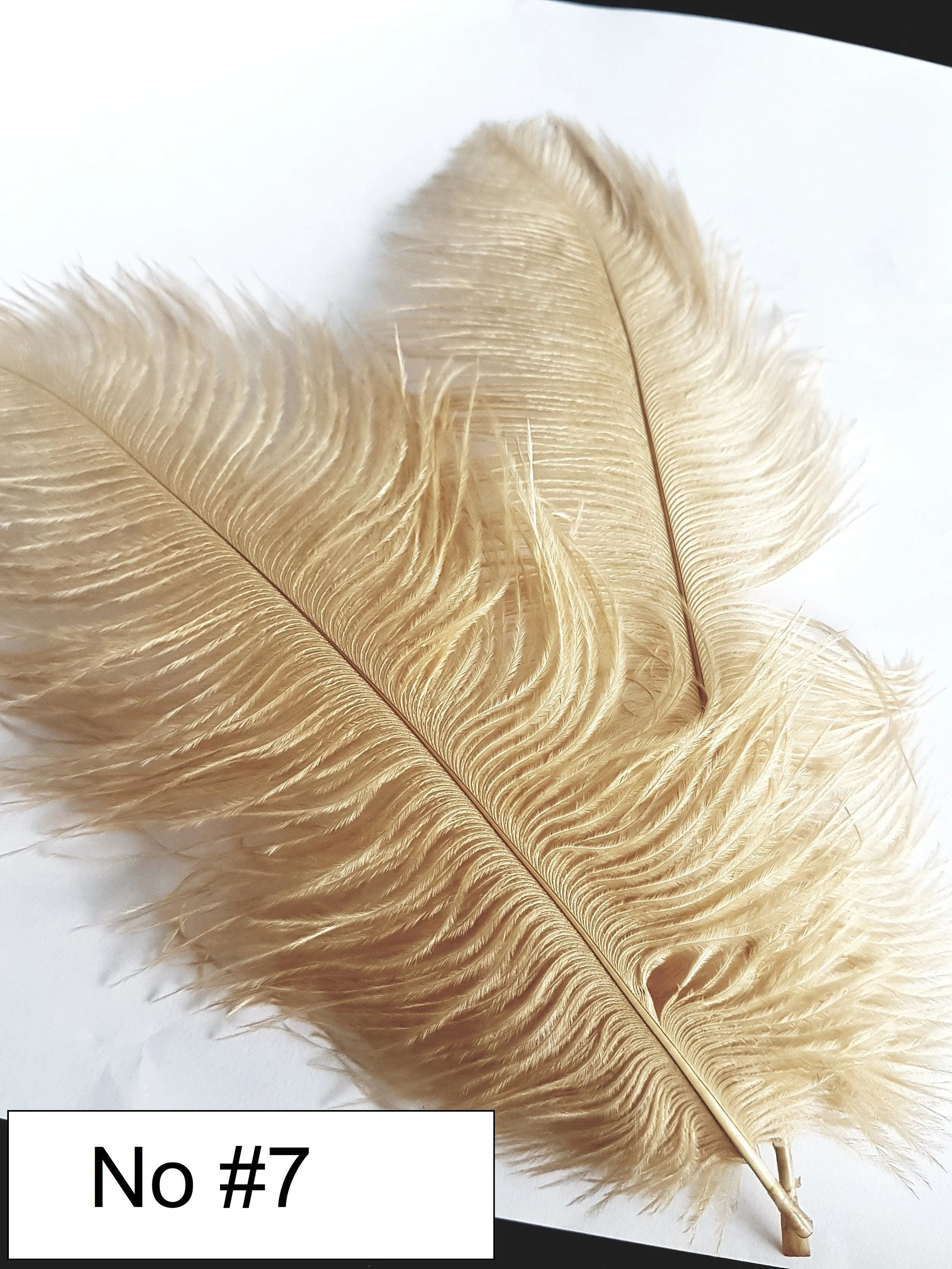 Bridal Feather Fan bouquet, Great Gatsby wedding style -ANY COLOUR by Crystal wedding uk