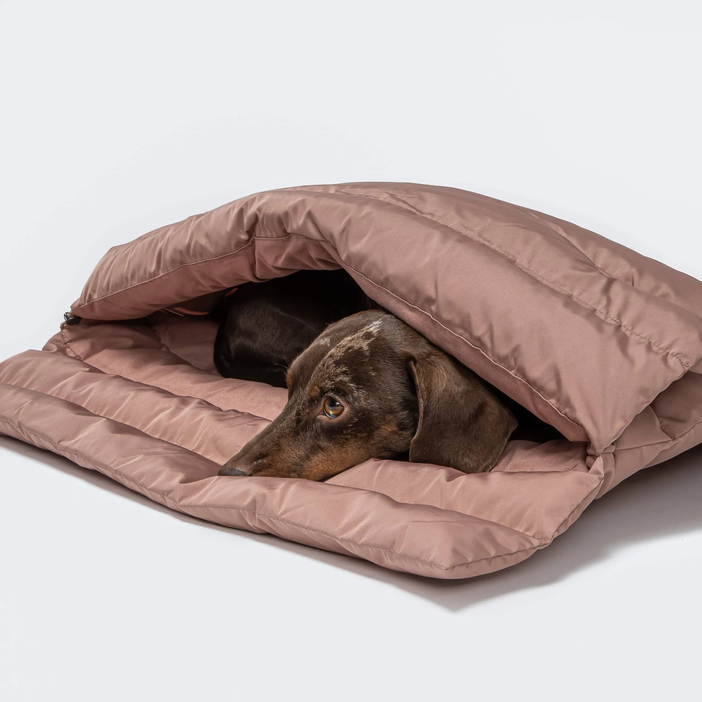 Dog Sleeping Bag Vancouver