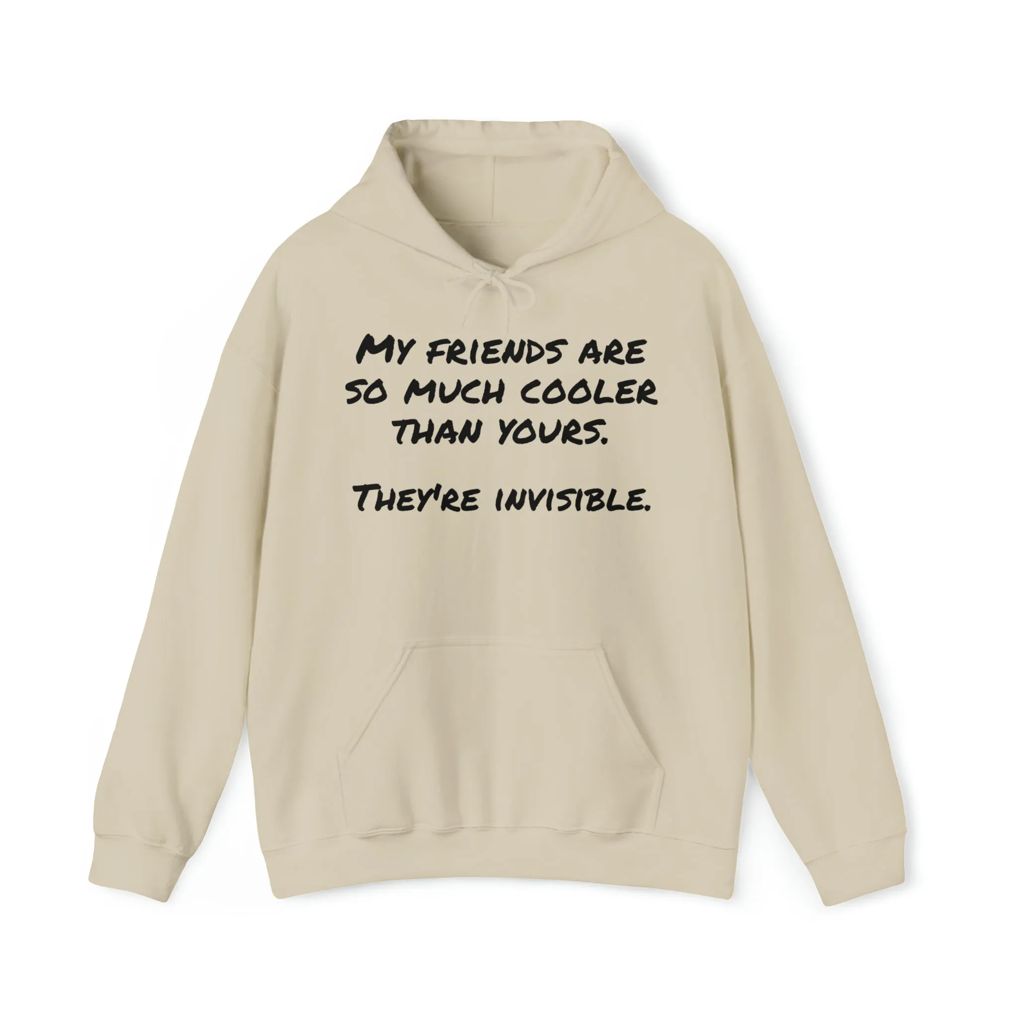 Hoodie | My Friends Are So Much Cooler |