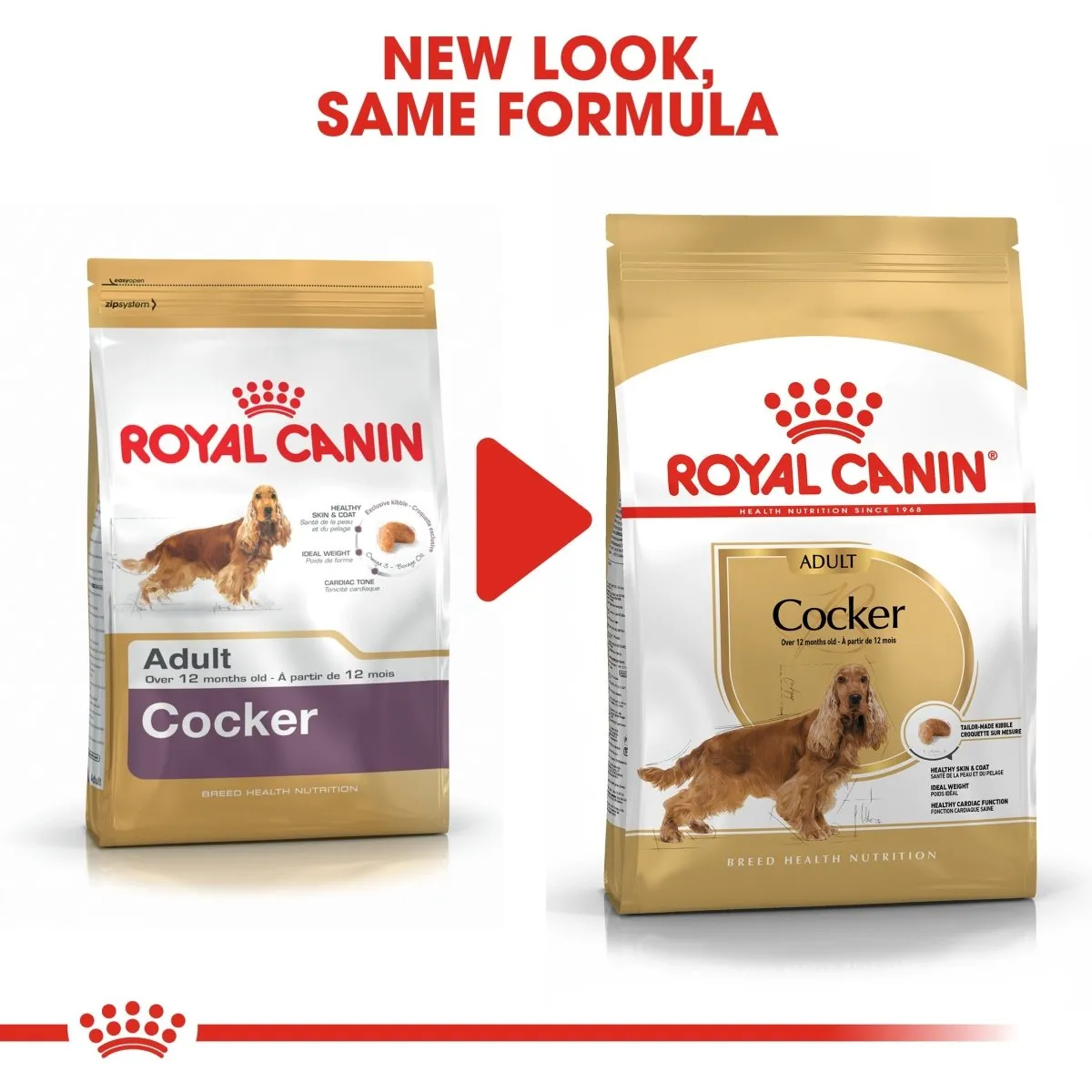 ROYAL CANIN® Breed Health Nutrition Cocker Spaniel Adult Dry Dog Food