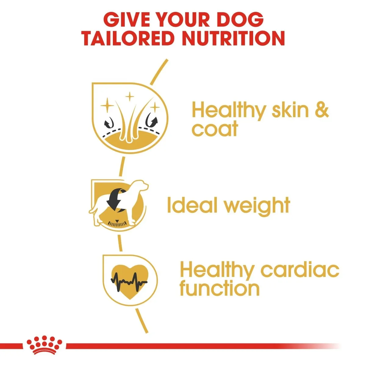 ROYAL CANIN® Breed Health Nutrition Cocker Spaniel Adult Dry Dog Food