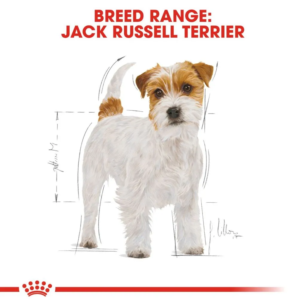 Royal Canin Jack Russell Adult 1.5kg Dry Dog Food - Breed Health Nutrition