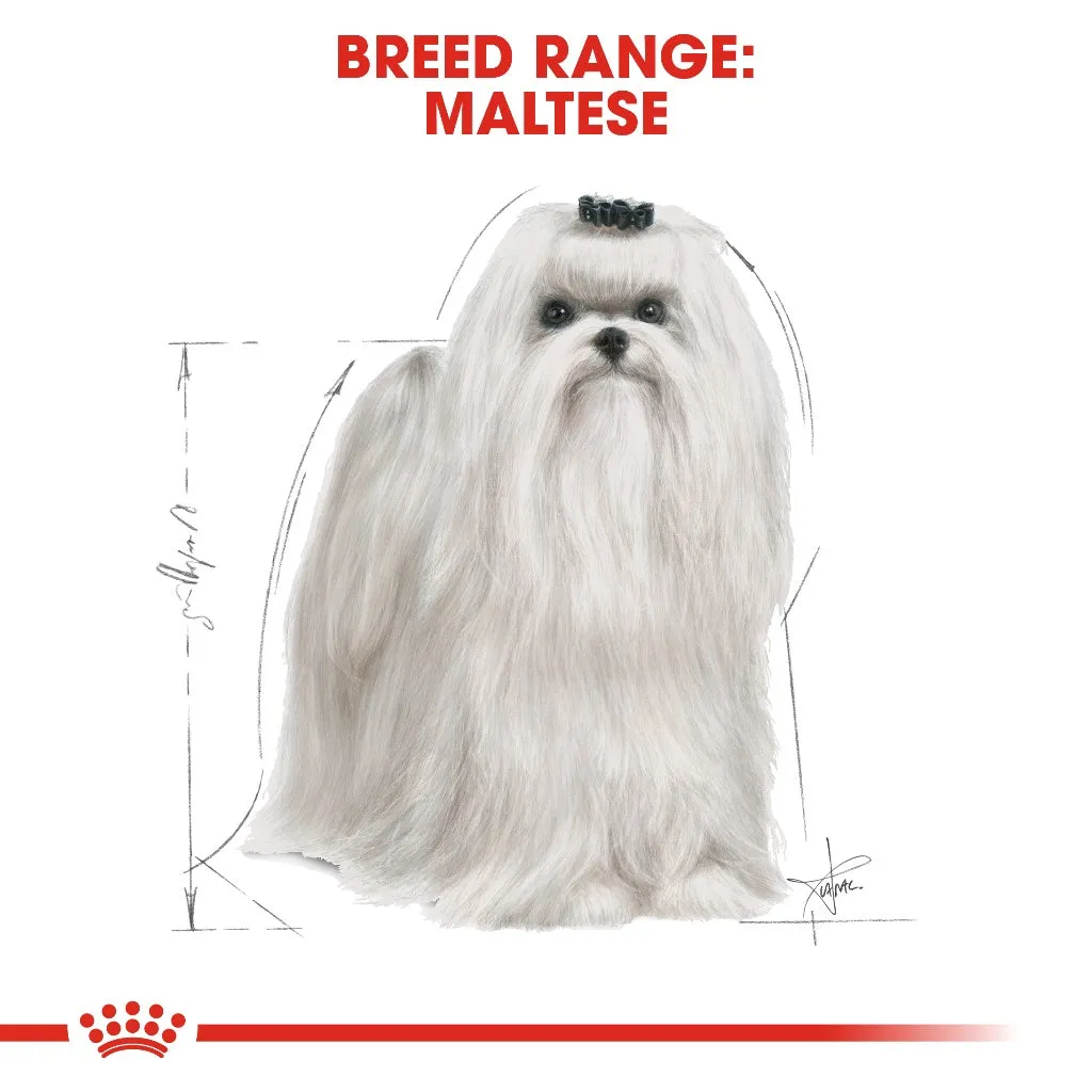 Royal Canin Maltese Adult 500g Dry Dog Food - Breed Health Nutrition