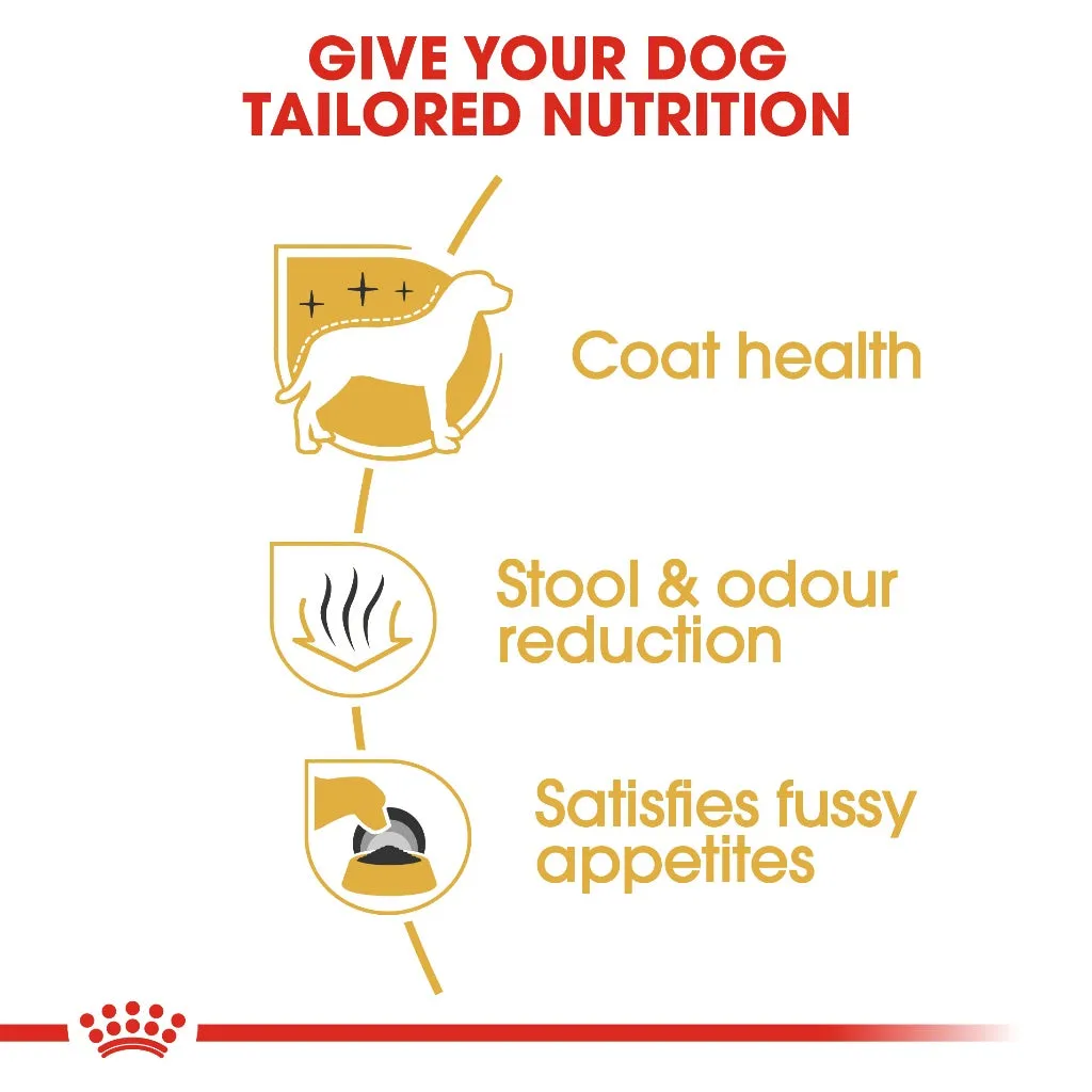 Royal Canin Maltese Adult 500g Dry Dog Food - Breed Health Nutrition