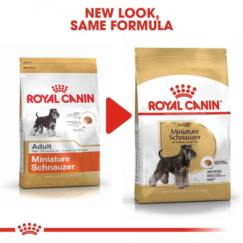 Royal Canin Miniature Schnauzer Adult Dry Dog Food