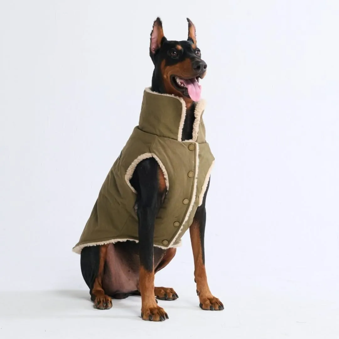 Workdog Insulated Utility Jacket Jackets